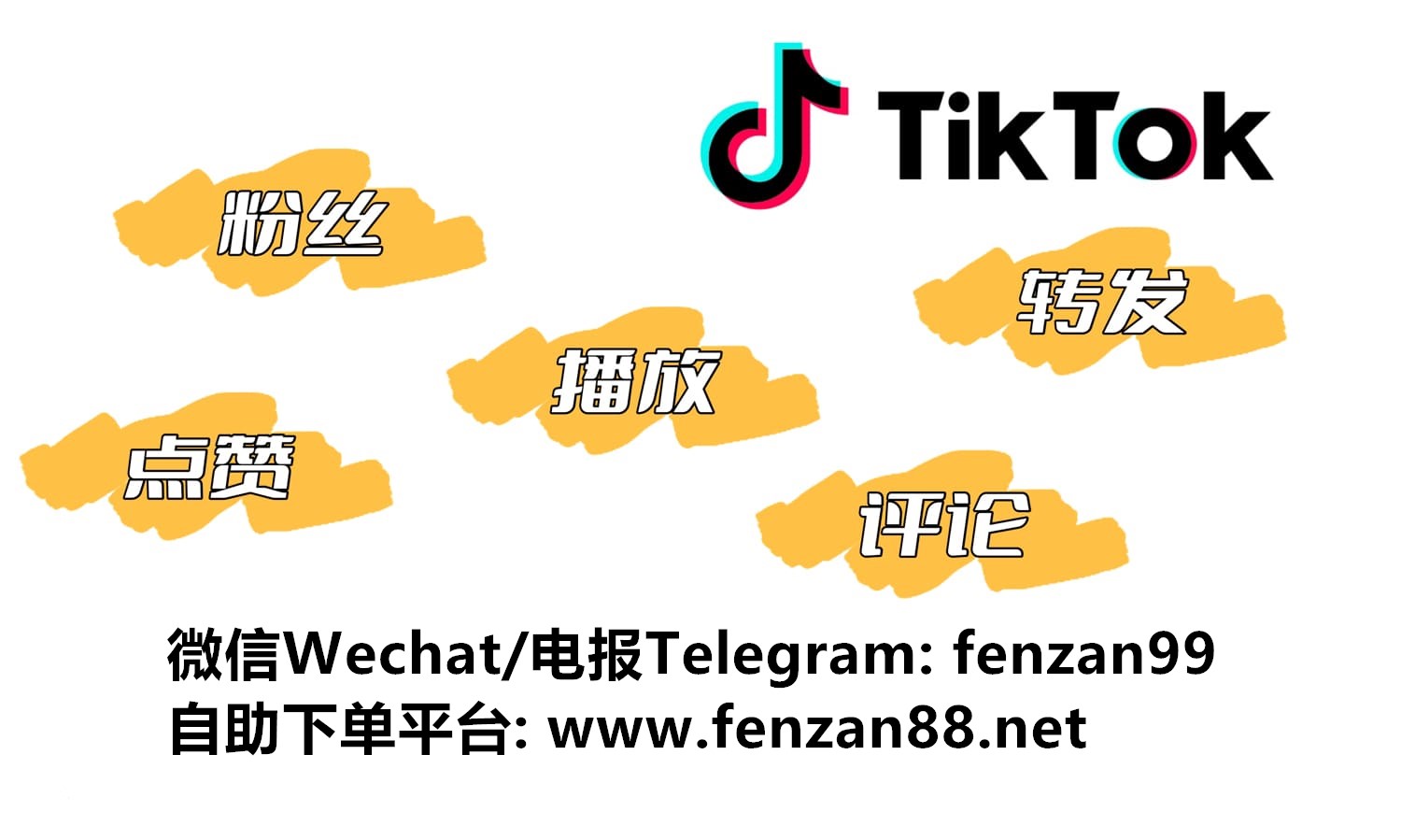 TikTok怎么涨粉？Tik Tok账号快速涨粉秘诀(图1)
